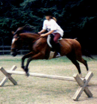 Crystal equestrian riding